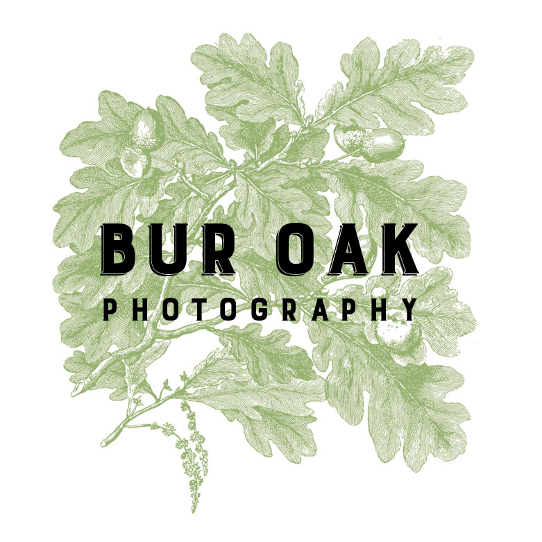 Bur Oak Photo on Facebook