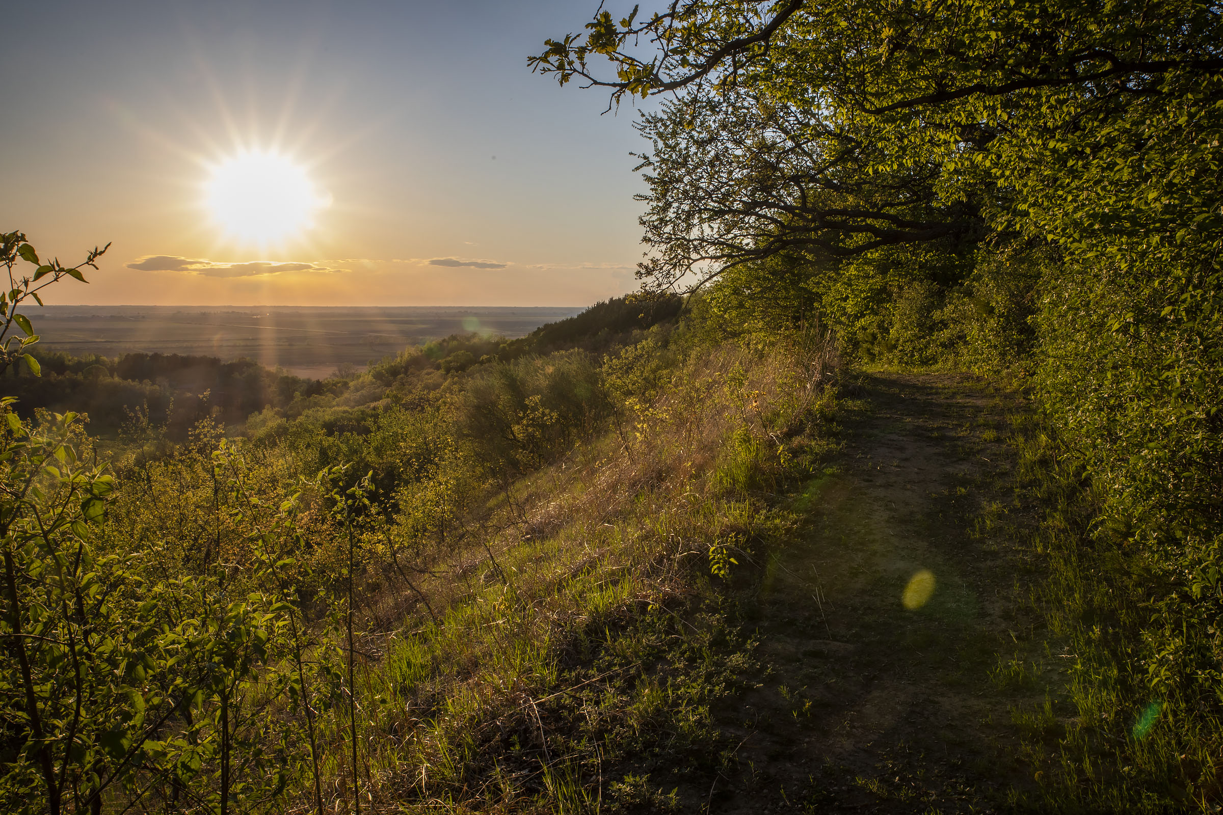Landscape: Sunset Ridge Trail at Waubonsie State Park