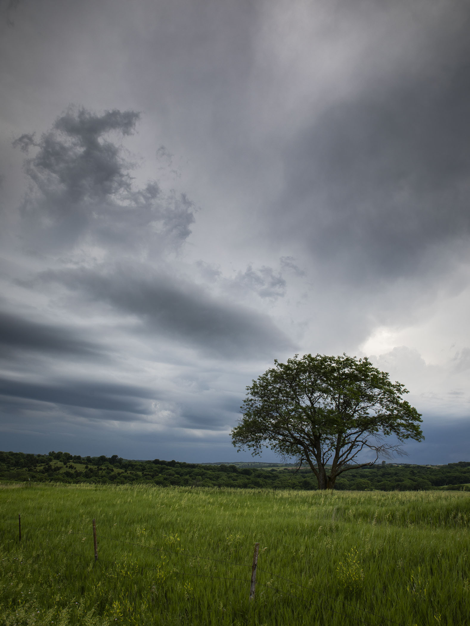 Storm clouds and a lone tree