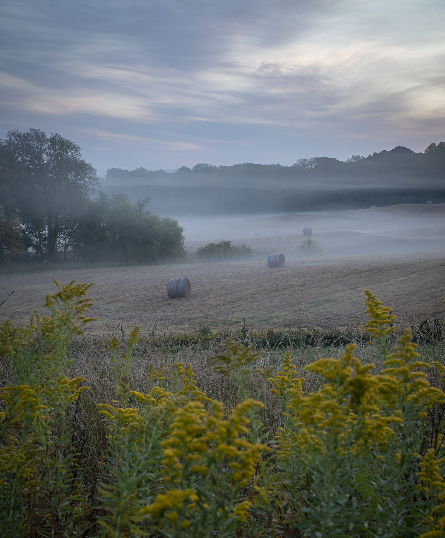 Fog at sunrise over a field